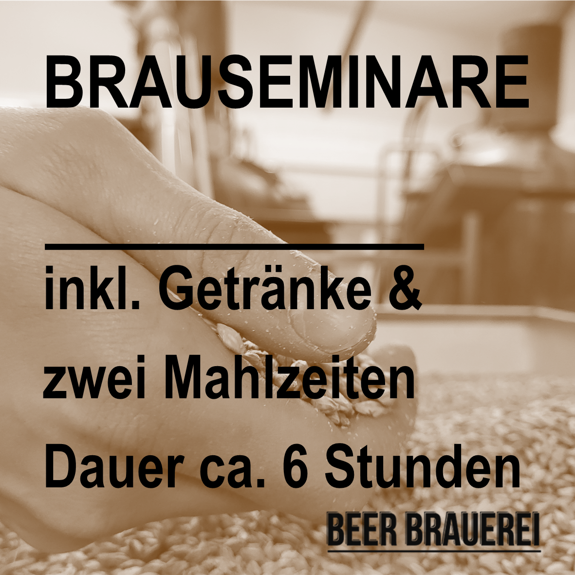 Kirschenholz Beer Brauerei Bier Brauhaus Plön Schillsdorf Braukurs